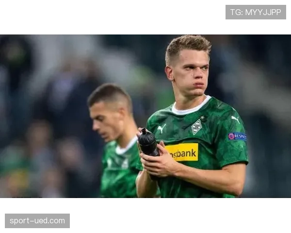 门兴主场近两轮取胜 普鲁士公园球场优势逐渐恢复